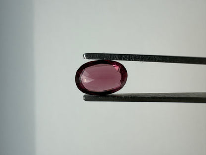 1.245 Garnet Dark Pink Oval